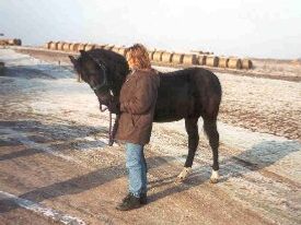 Phelix hilser på Ellen